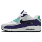Air Max 90 Grape