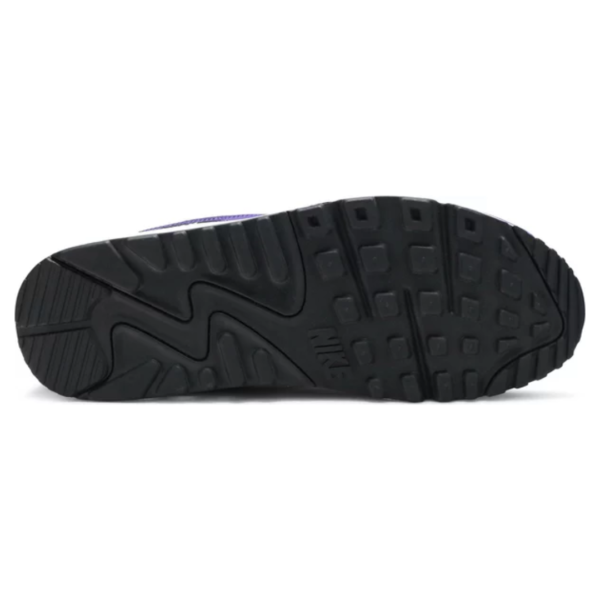 Air Max 90 Grape